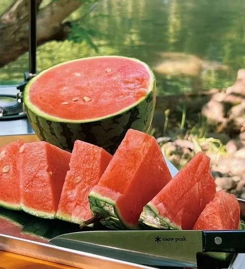 小密瓜怎样吃,探索美味新境界  第3张