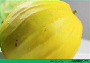 连皮一起吃的瓜,尽享瓜果美味新体验  第1张