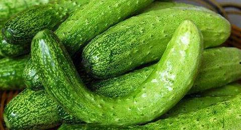 连皮一起吃的瓜,尽享瓜果美味新体验  第3张