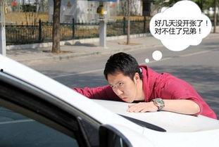 娱乐吃瓜碰瓷片段,吃瓜群众围观明星“互撕”大戏  第3张