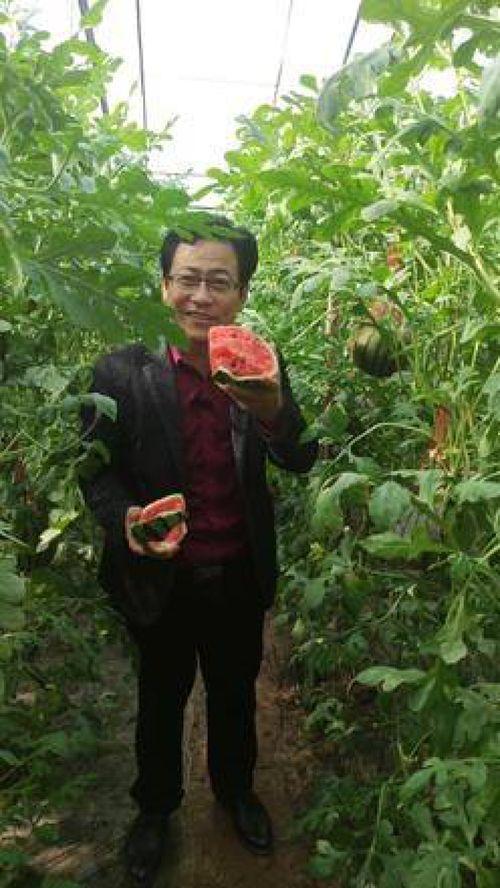 徒手掰瓜吃,挑战极限的趣味食趣体验  第1张