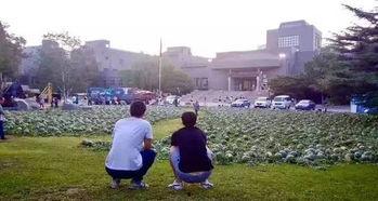 美术院吃瓜,一场吃瓜盛宴背后的艺术圈秘闻  第2张