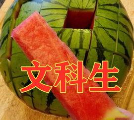 美术院吃瓜,一场吃瓜盛宴背后的艺术圈秘闻  第3张