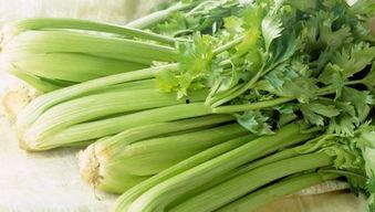 吃茄瓜可以吃芹菜吗,同餐共食的健康搭配指南 第2张 吃茄瓜可以吃芹菜吗,同餐共食的健康搭配指南 第2张