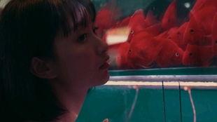 吃瓜少女相关视频,网络热梗背后的故事与影响