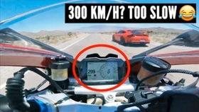 兰博讲吃瓜,兰博带你领略吃瓜界的风云变幻