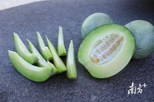 吃黄色大瓜,揭秘黄色大瓜背后的惊人真相