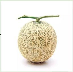 多人吃瓜群众头像