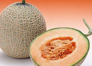 吃调经中药可以吃哈密瓜,健康养生的完美搭配