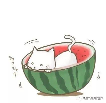 吃瓜头像封面图片可爱