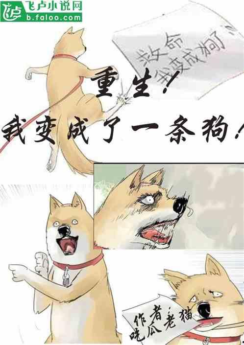 吃瓜变成卖瓜的小说,我的卖瓜传奇