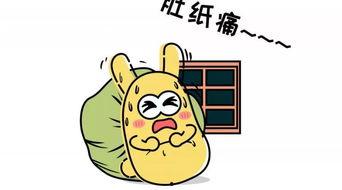 吃瓜群众的属相,吃瓜群众们的生肖故事