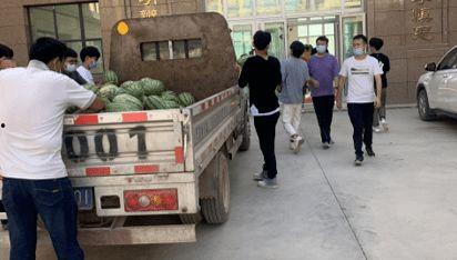 东营吃瓜新闻事件,一场网络舆论的风暴与反思