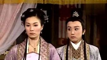 苏妲喜吃瓜全集,宫廷秘闻与宫廷美食的传奇之旅