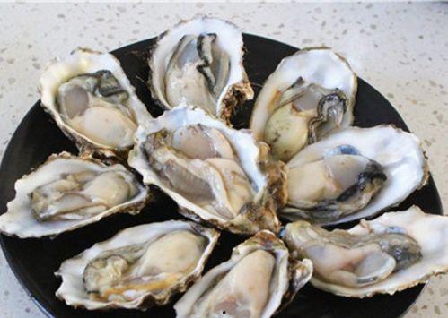 吃哈密瓜再吃生蚝,味蕾的双重盛宴