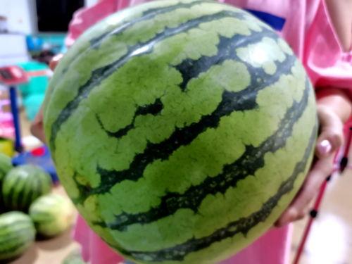 罗定朗塘吃瓜,探寻瓜果飘香的田园美食之旅