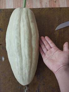 和叶吃瓜,揭秘娱乐圈背后的那些事儿