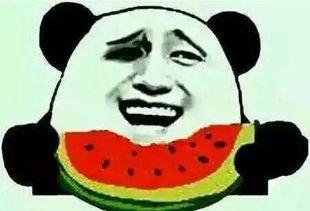 吃瓜群众不挑瓜的意思,品味生活的多元滋味