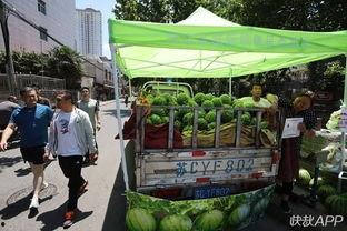 销售卖车吃瓜,揭秘汽车销售背后的趣味故事