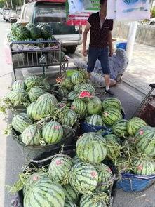 怀化吃瓜后续事件