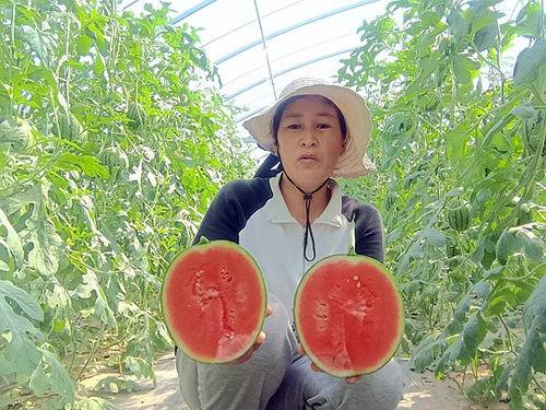 吊瓜不甜怎么吃,吊瓜不甜的创意食用方法探索