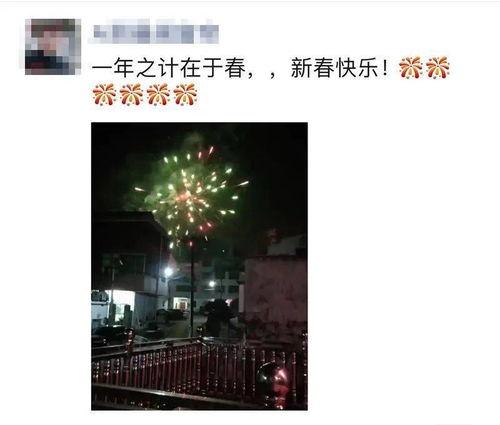 吃瓜群众放礼花庆祝,共庆喜悦时刻