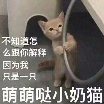 老四吃瓜事情,揭秘娱乐圈背后的惊人真相