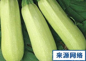 怀孕初期可以吃白瓜,白瓜助力健康孕育之旅