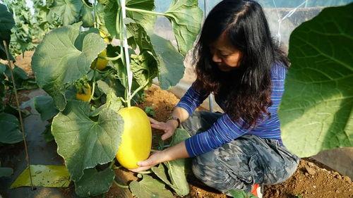 去你家弄点瓜吃,一场温馨的“瓜吃”之旅