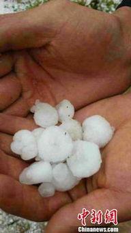 甘肃环县吃瓜,瓜果飘香，尽享田园美味