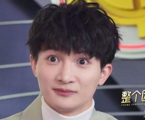 朴宰灿吃瓜,揭秘娱乐圈背后的真相