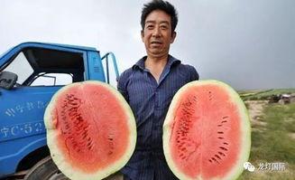 王大炮哪里吃瓜,探寻瓜界美食传奇之地