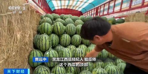 吞金吃瓜,揭秘娱乐圈的奢华与八卦风云