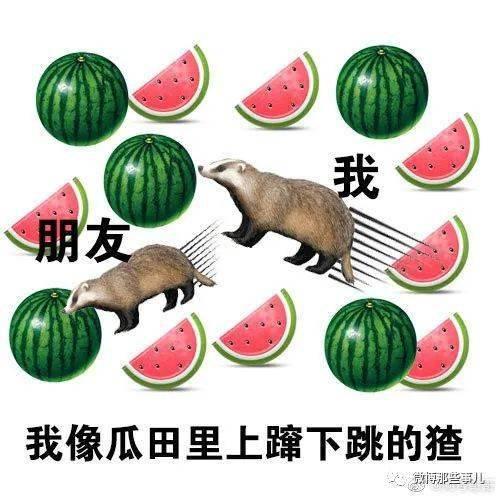 空降吃瓜