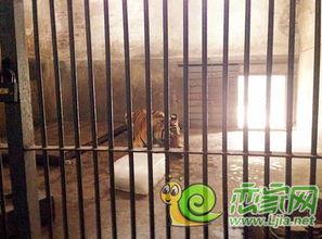 河北邯郸公园吃瓜